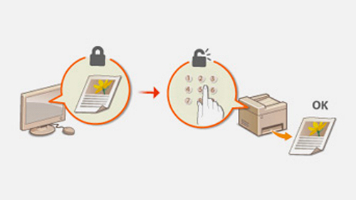 兴发xf(中国区)游戏有限公司