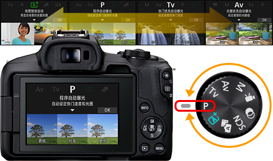 兴发xf(中国区)游戏有限公司