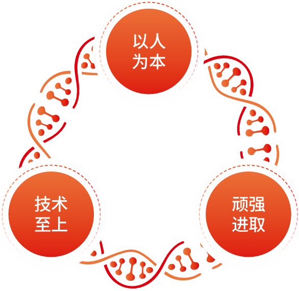 企业DNA