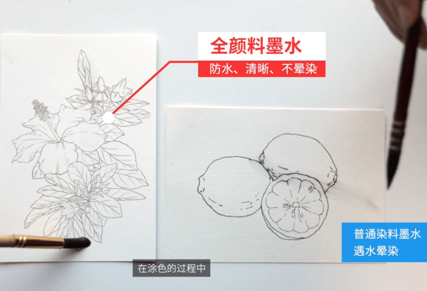 兴发xf(中国区)游戏有限公司