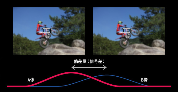 兴发xf(中国区)游戏有限公司