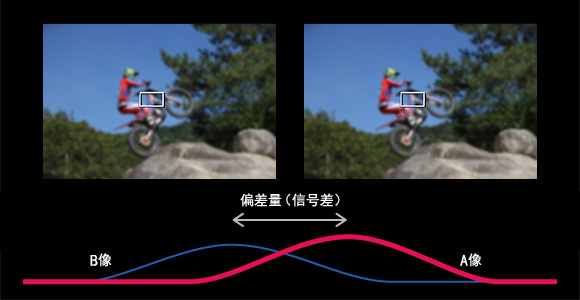 兴发xf(中国区)游戏有限公司