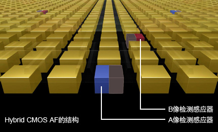 兴发xf(中国区)游戏有限公司